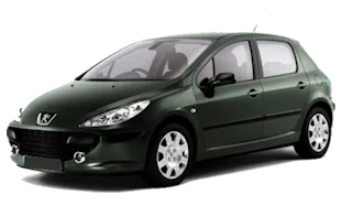 Peugeot 307 HDi Custom ECU Remap